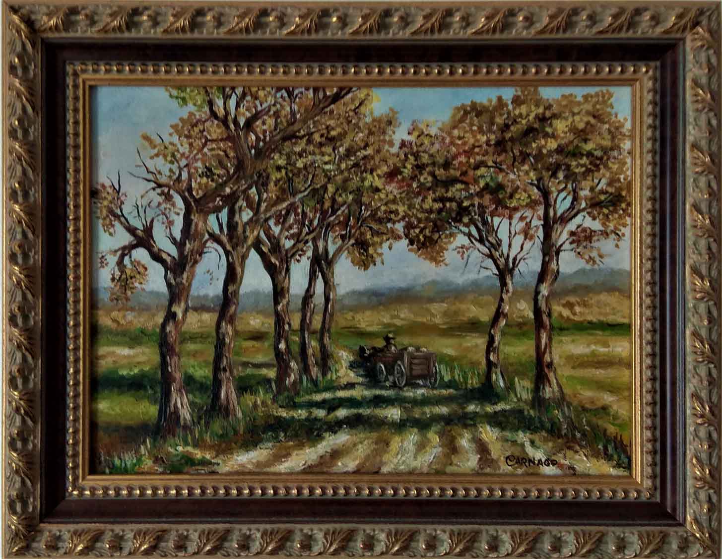 Paisaje Rural